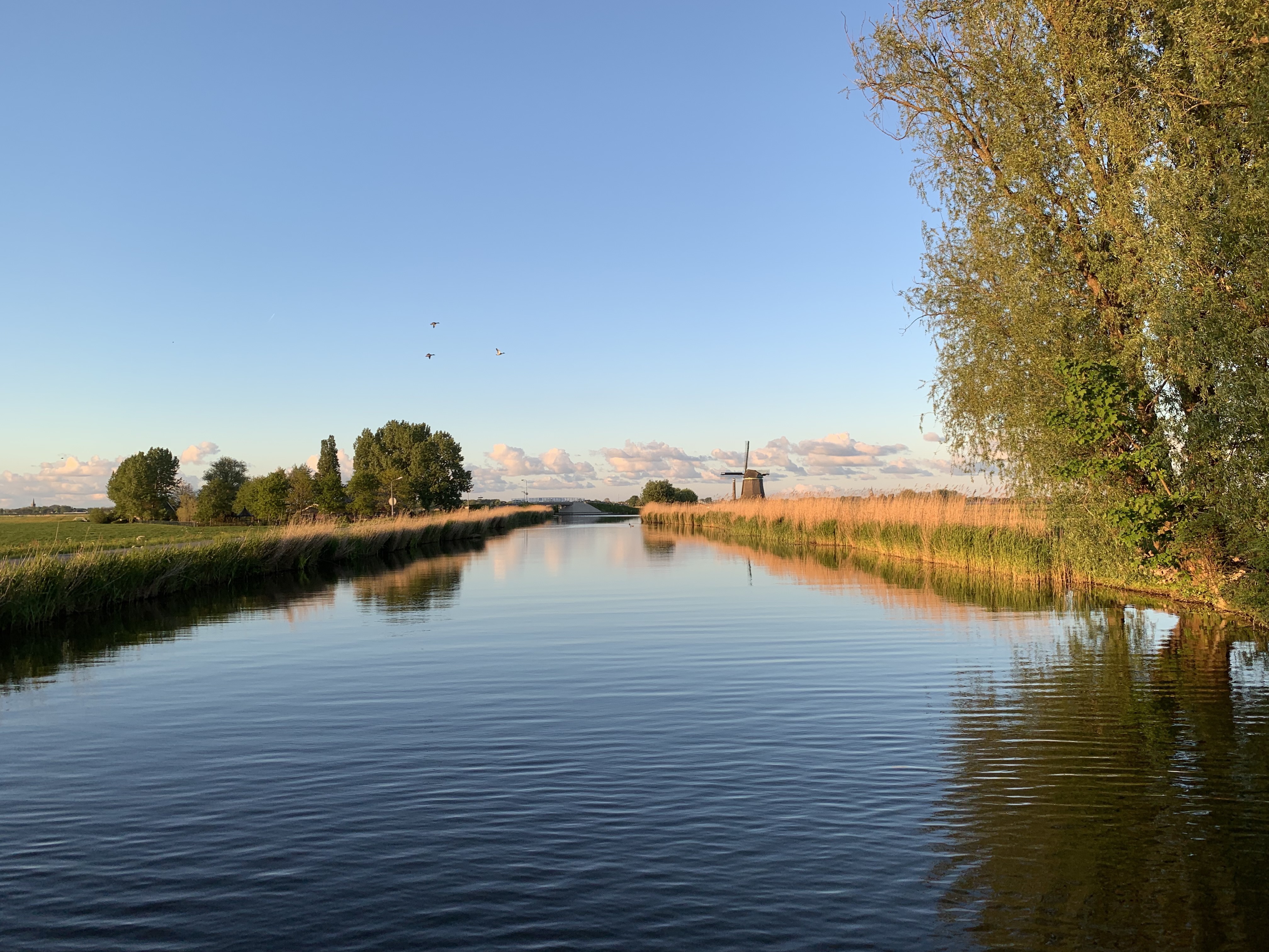 Westfriese landschapsfoto vanaf het water